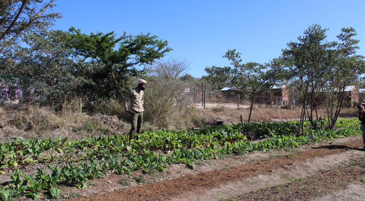 Farming in South Africa
